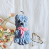 Soft Teddy Bear Crochet Keychain